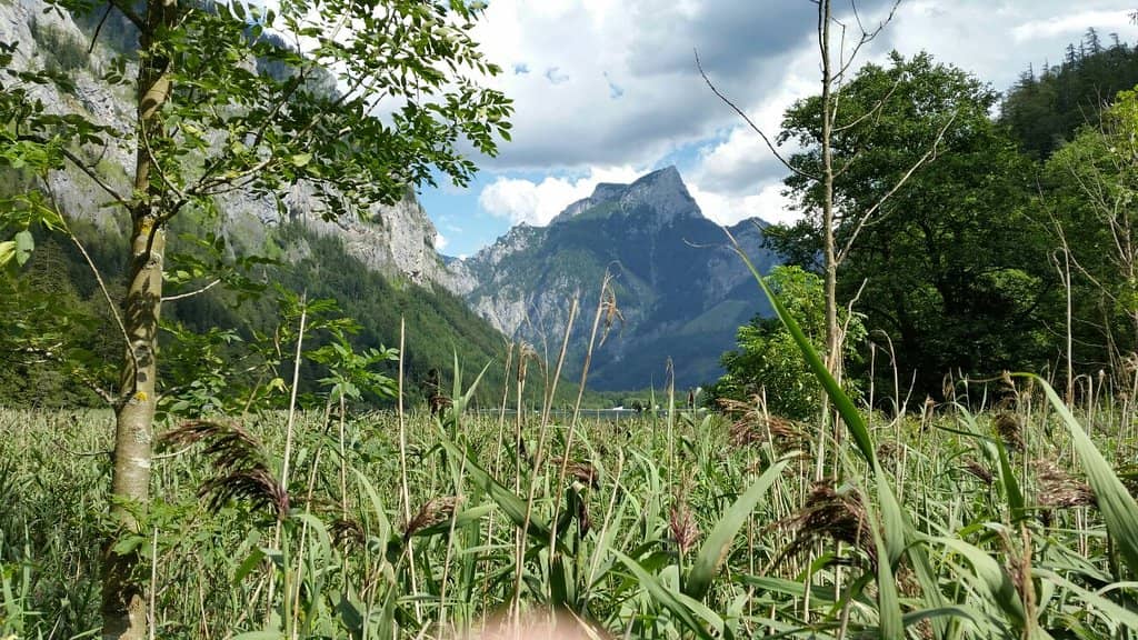 Scenic Lakeside Trail