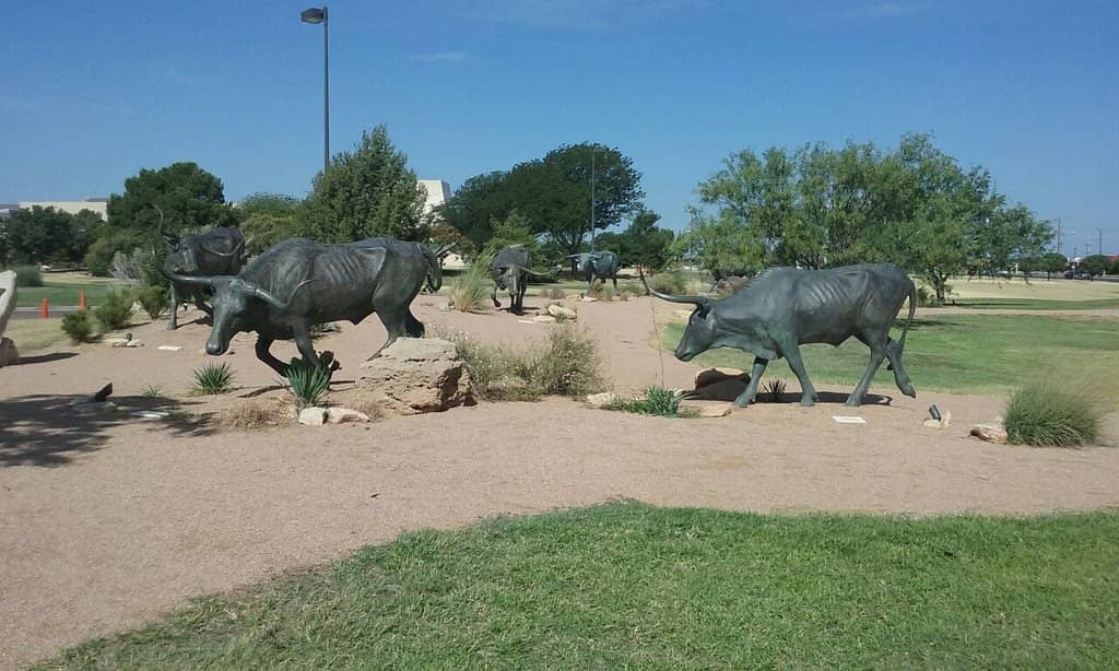 Cash Family Ranch Life Learning Center