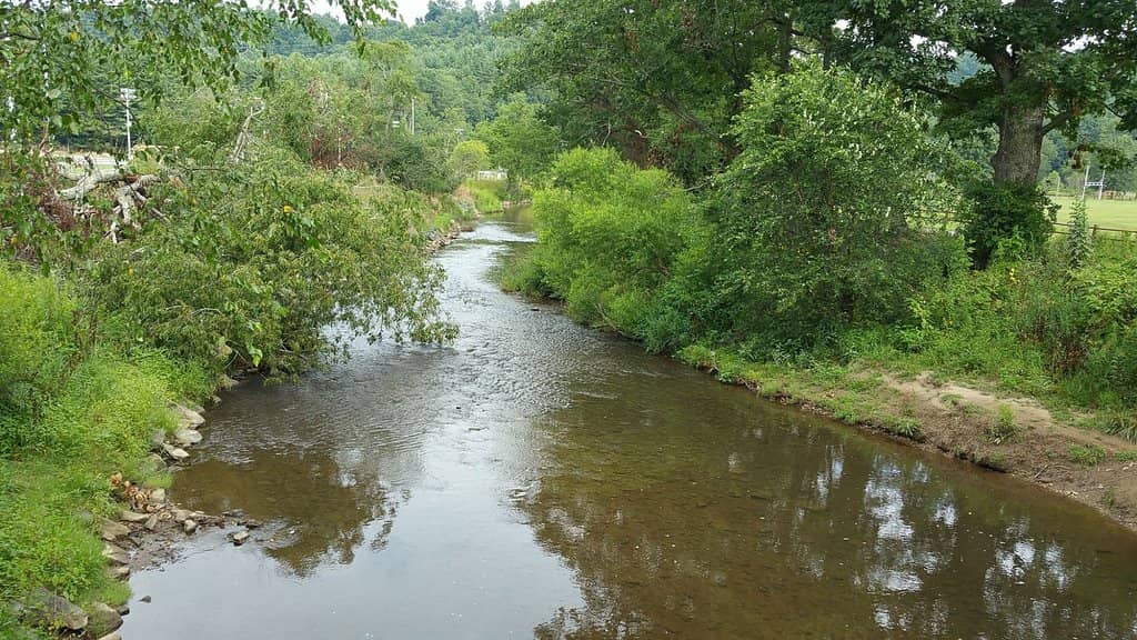 Connect to Nature