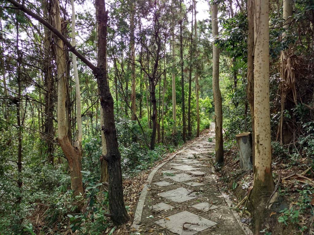 Green Spaces and Gardens