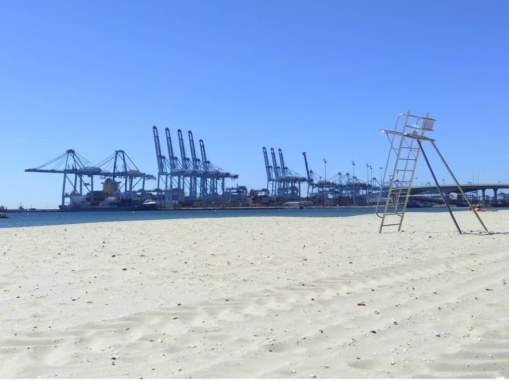 Estuary Birdwatching