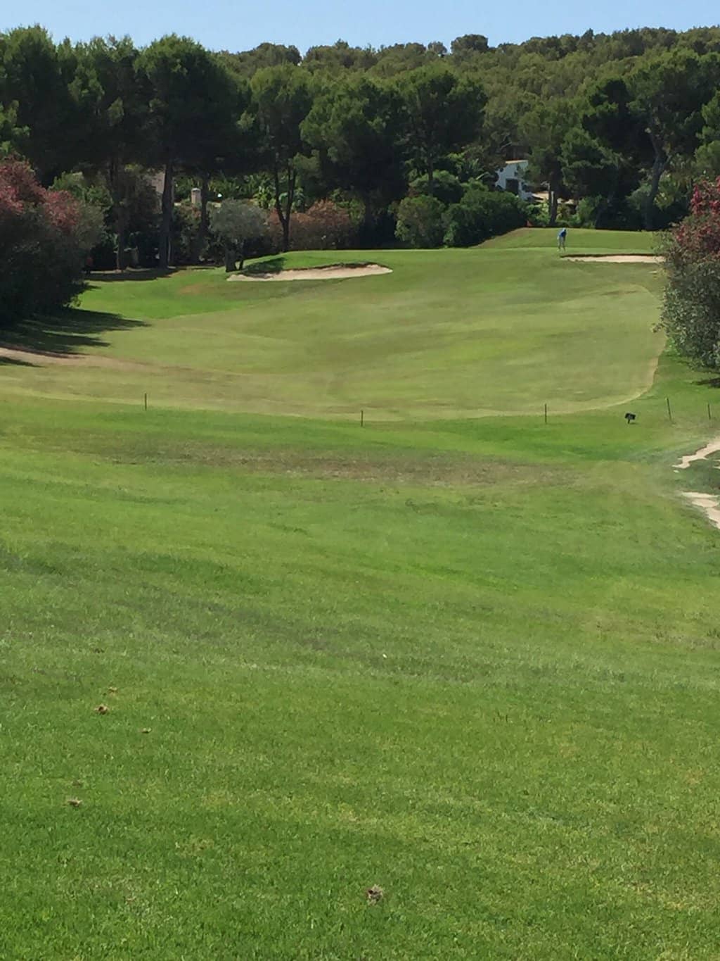 Santa Ponsa 1 Championship Course