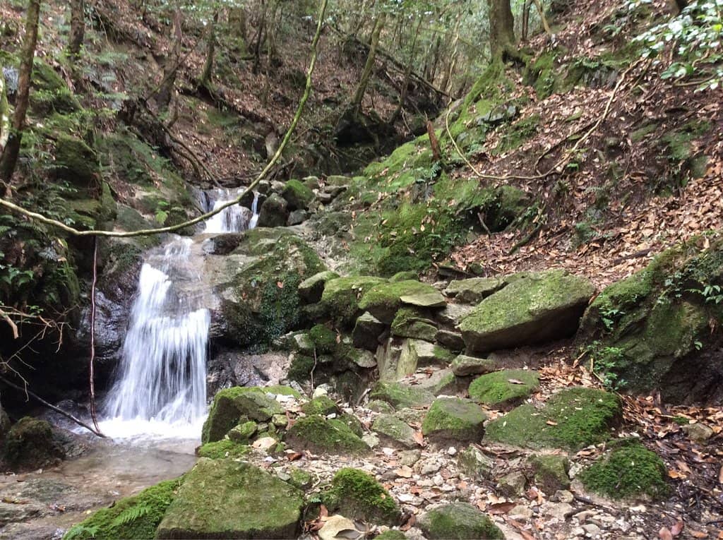 TERASU Sake Experience