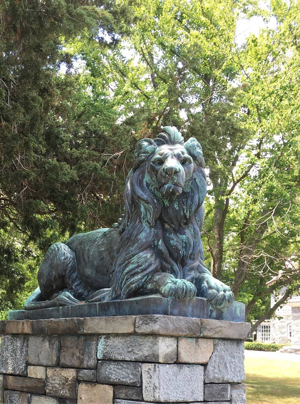 Downtown Skyline Views