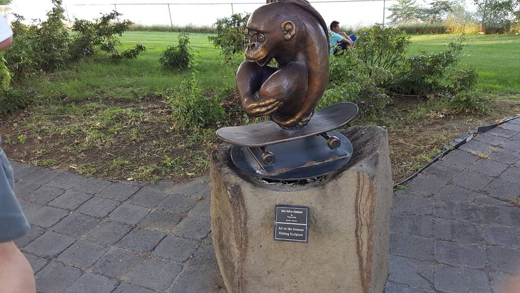 Splash Park & Playground