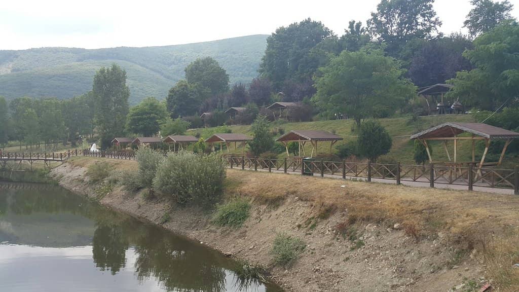 Local Tea and Street Food