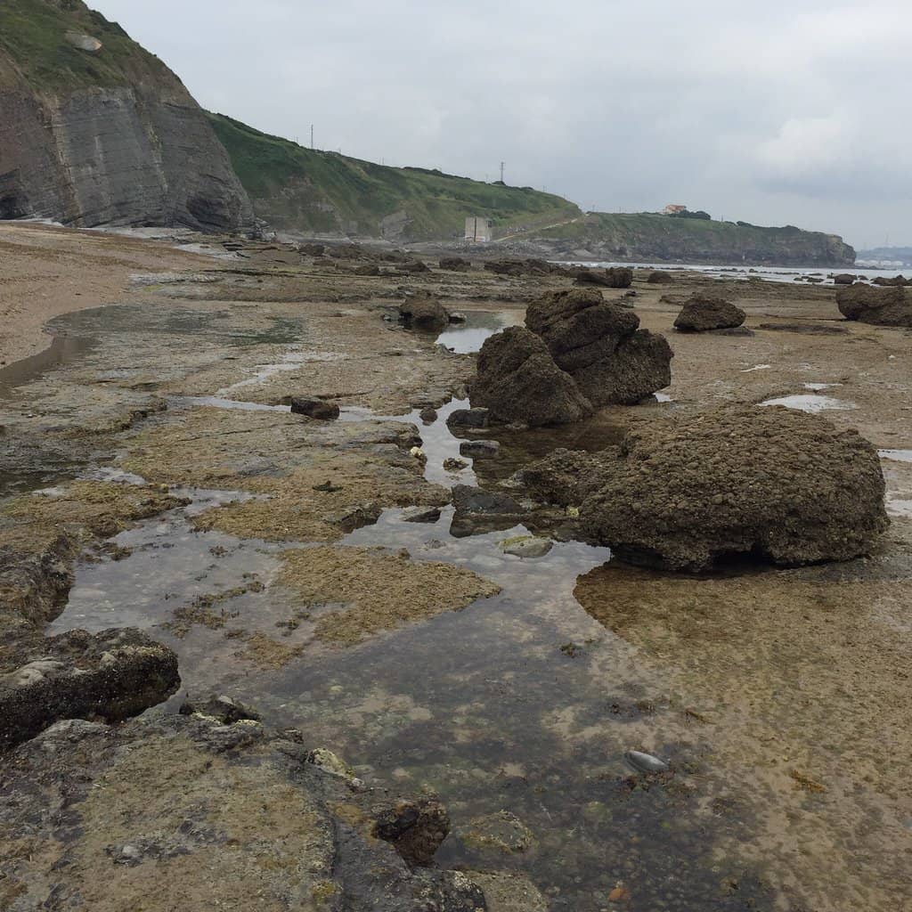 Cliffs & Fossil Richness