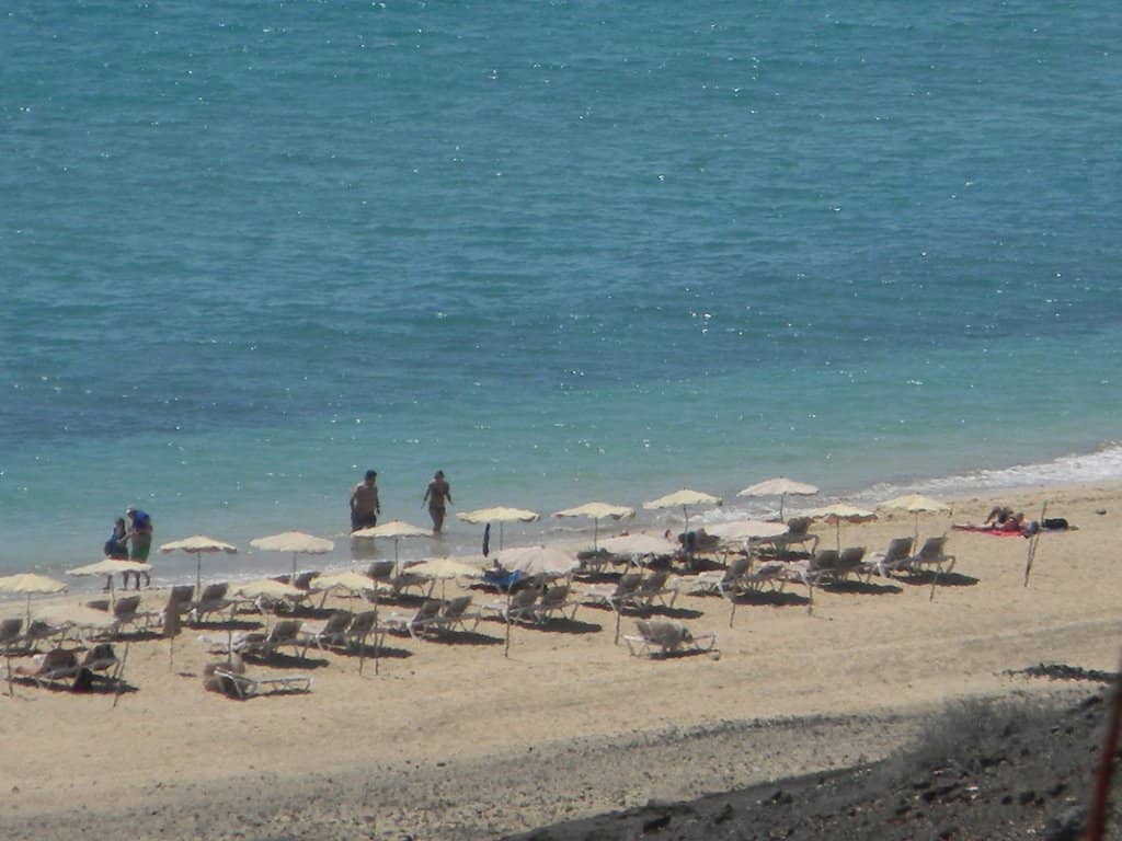 Charming Local Wildlife