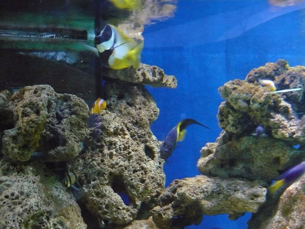 Kid-Friendly Encounters