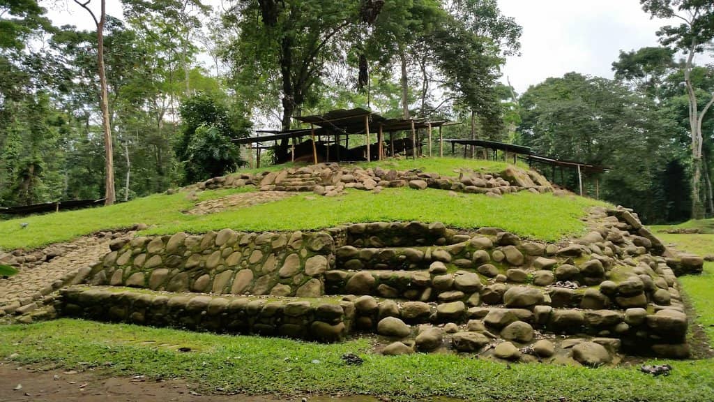 Lush Tropical Landscape