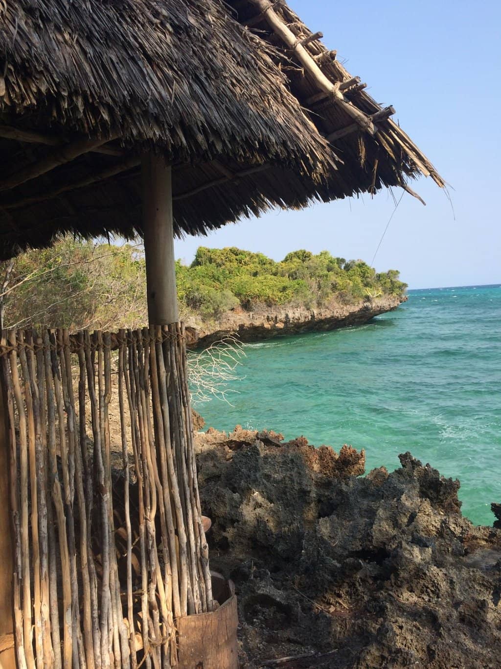 Pristine Coral Reef Sanctuary