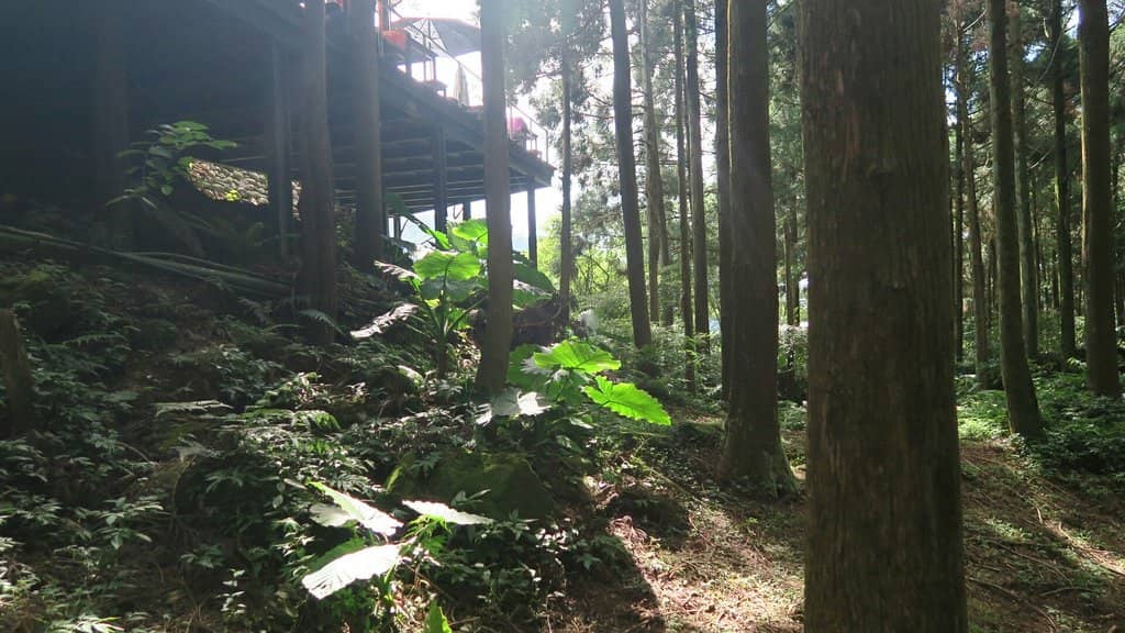 Misty Mountain Vistas