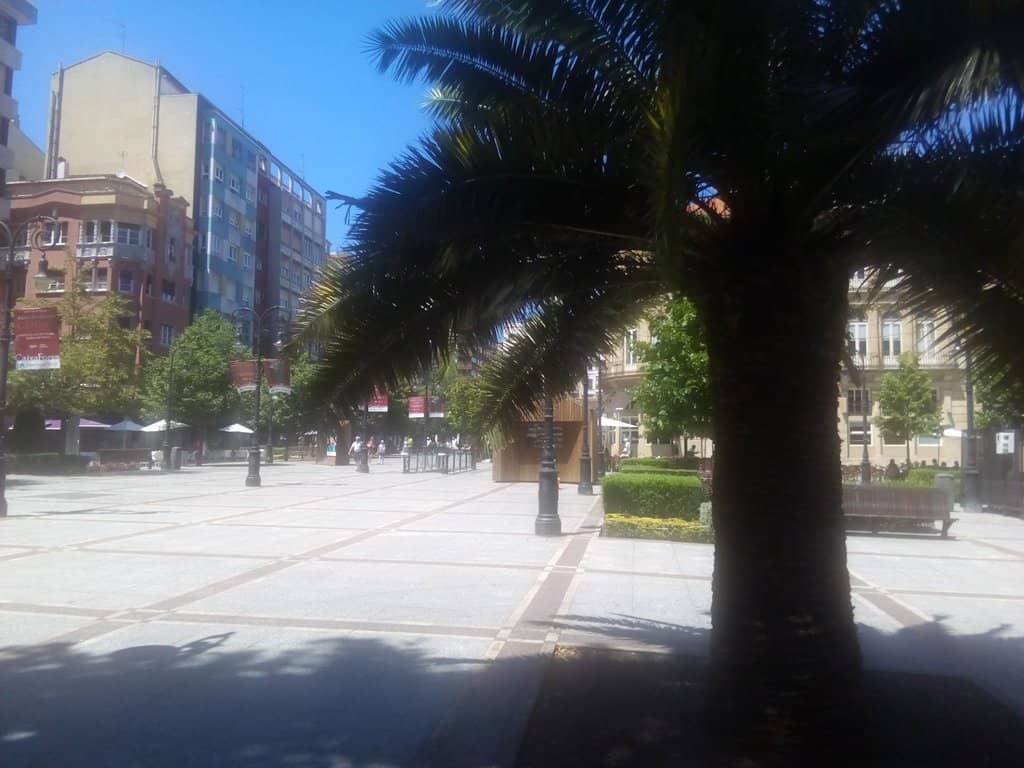 Family-Friendly Park