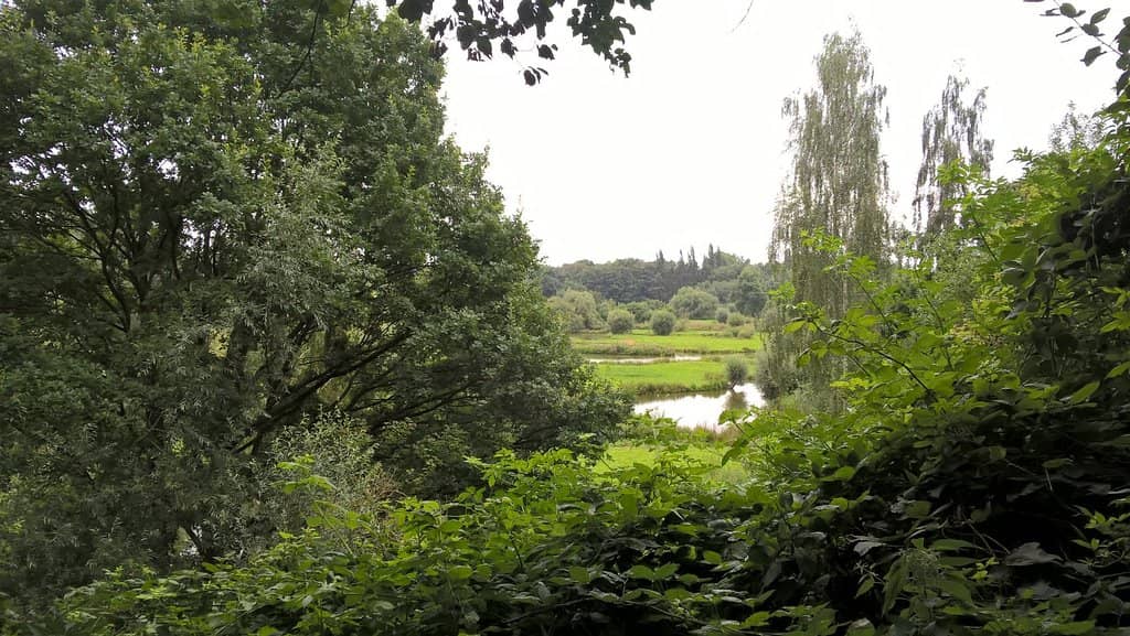 Langen Foundation