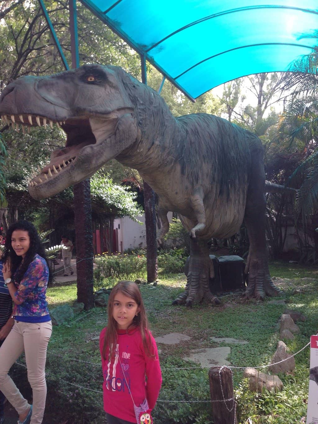 Laguna La Rosa Surroundings