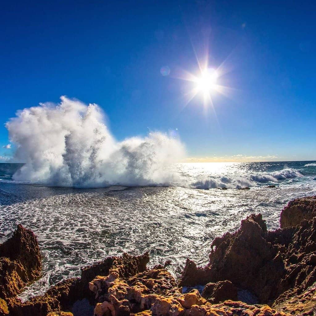 The Majestic Blowholes