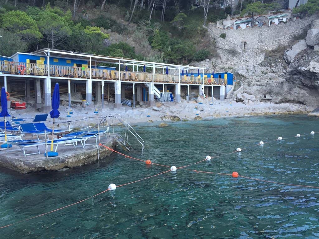 Fresh Catch of the Day