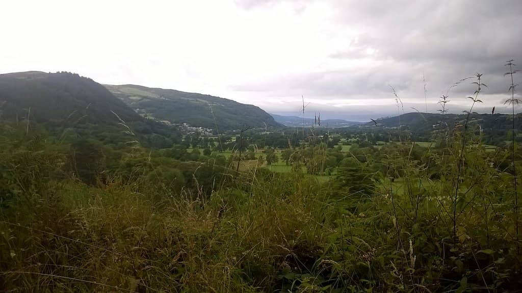 Zip World FForest Coaster