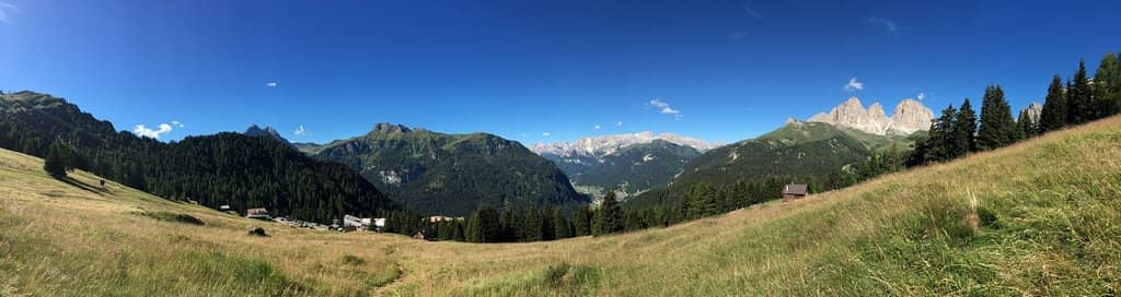 Unique Top Sculpture