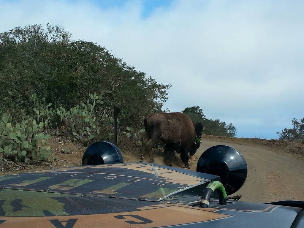 Challenging Elevation Gains