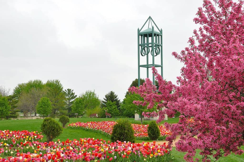 Seasonal Flower Displays