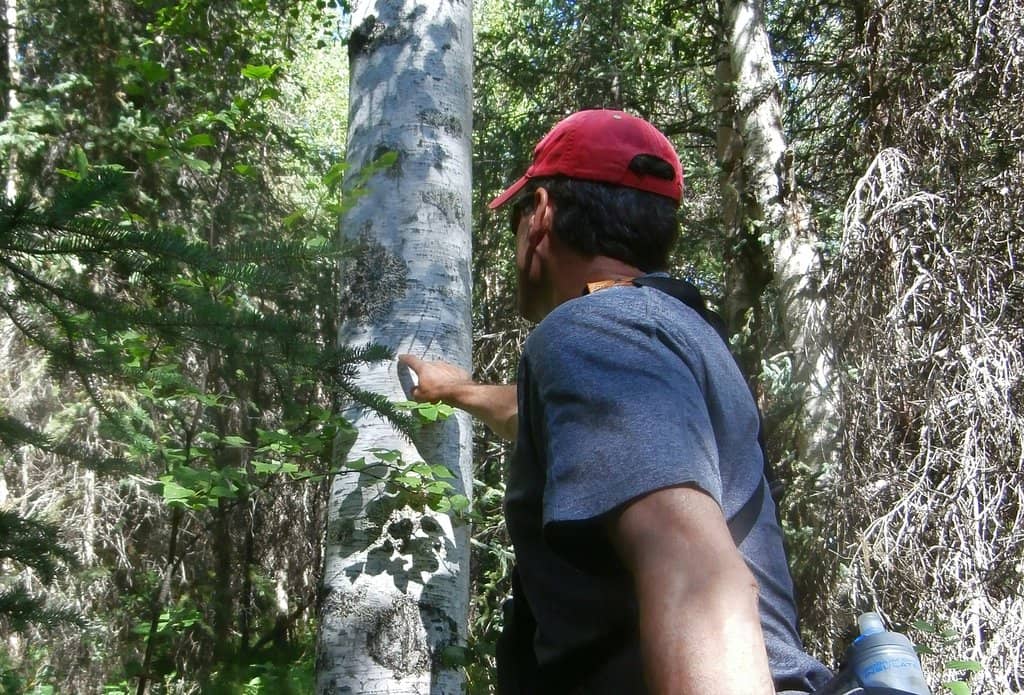Visitor Center Exhibits