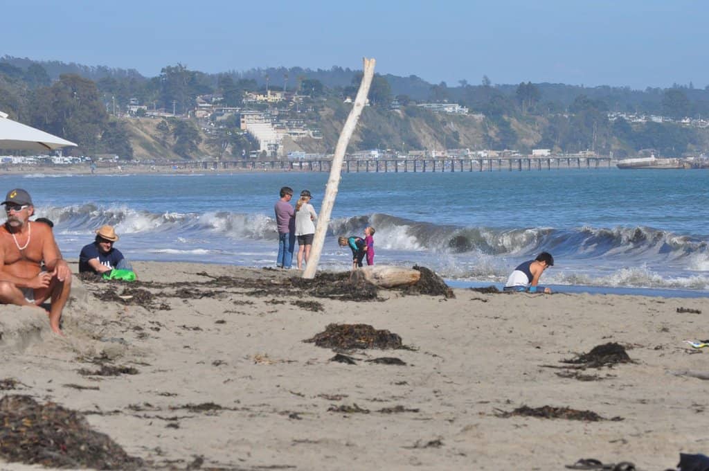 Blufftop Campground Views