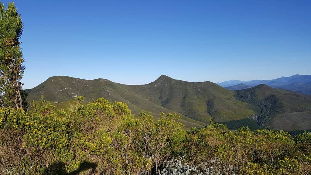 The Challenging Ascent