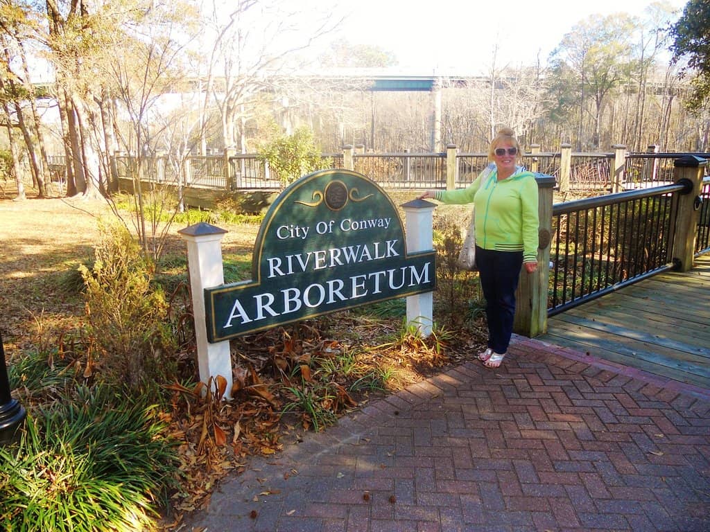 Seasonal Decorations