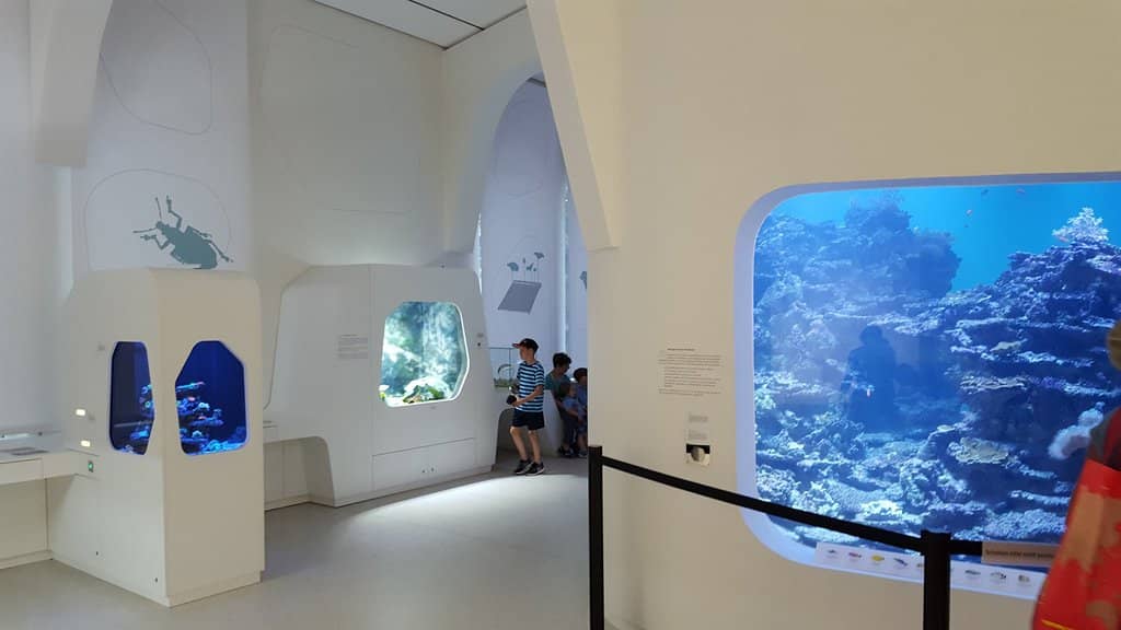 Living Animal Exhibits