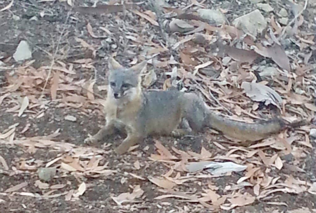 Wrigley Memorial & Botanical Garden
