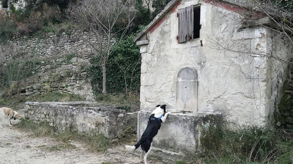 Panoramic Valley Views