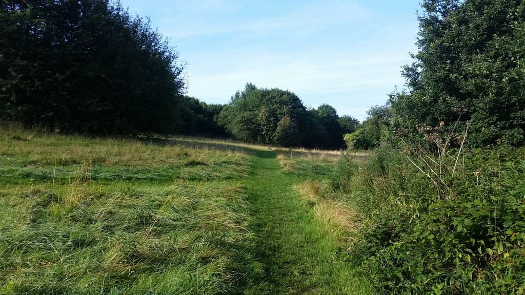 Outdoor Exercise Area