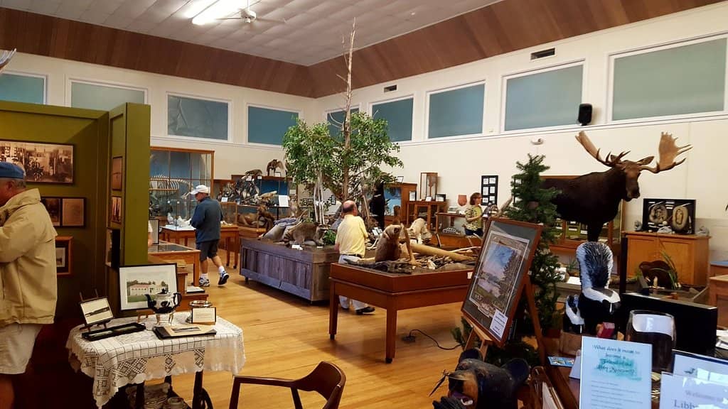 Fossils and Minerals