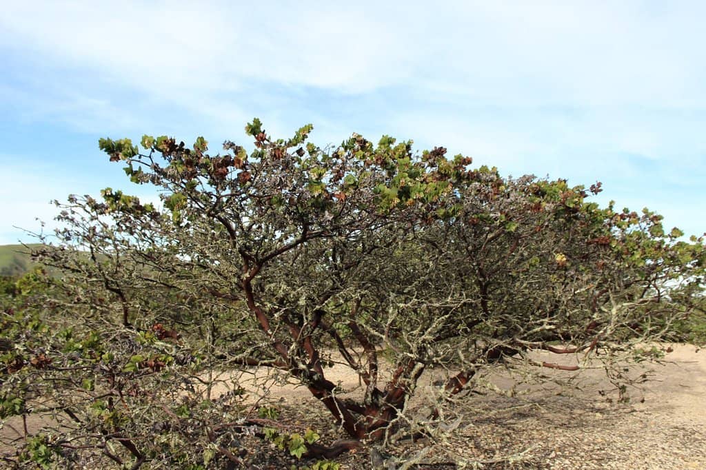 Interpretive Nature Trails