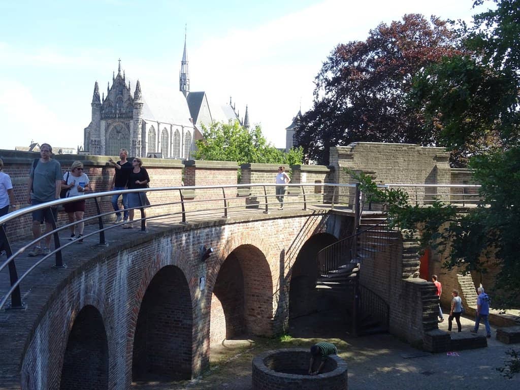 Stunning Organ Performances