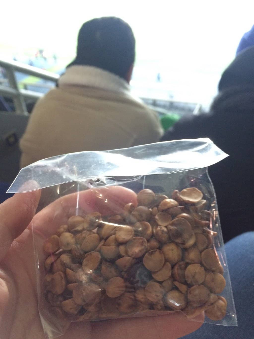 Architectural Grandeur