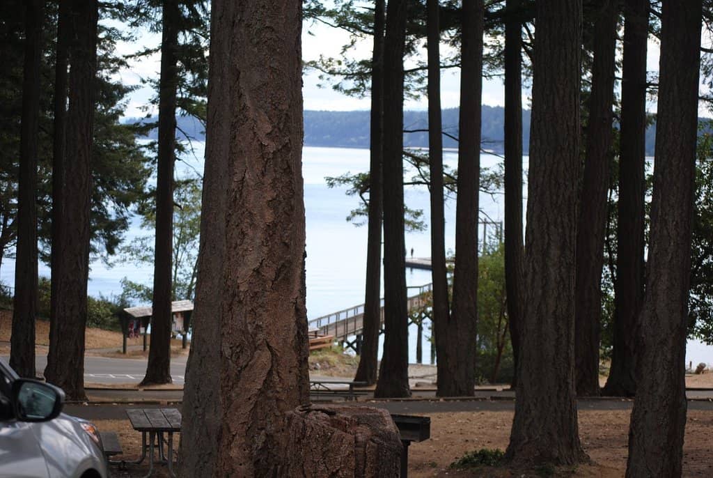 Purple Martin Sanctuary