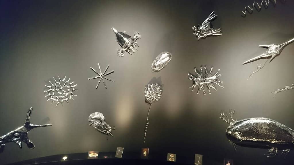 Interactive Science Exhibits