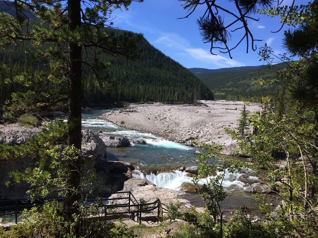 Scenic Walking Trails