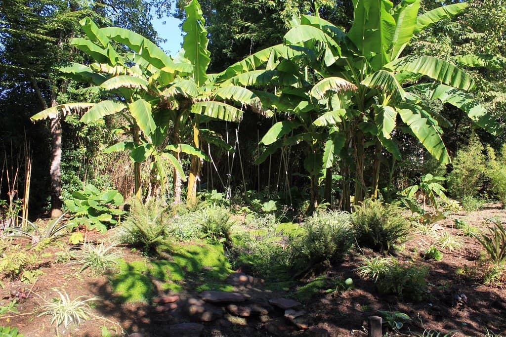 The Open-Air Auditorium