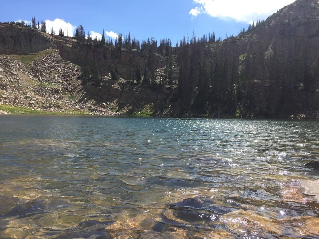 Seneca Lake Wine Trail