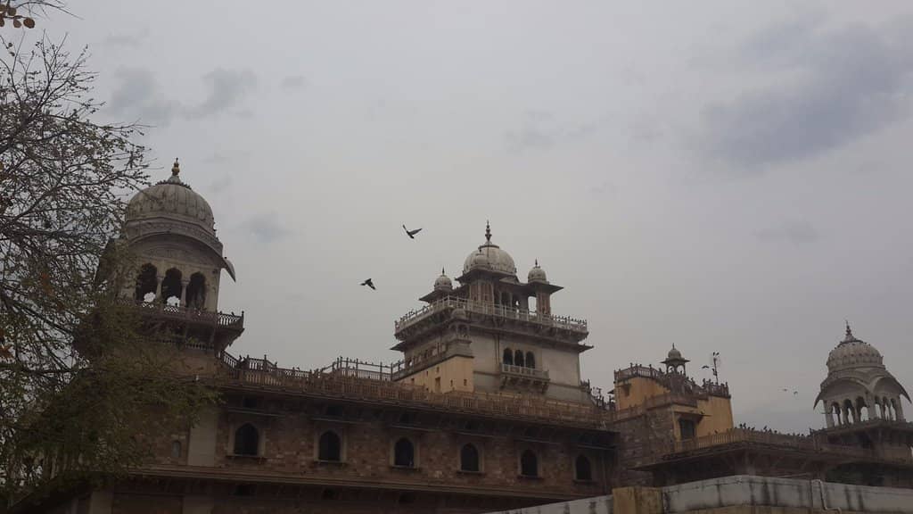 Gardens and Greenery