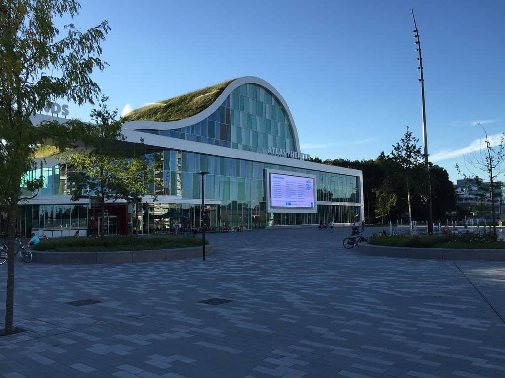 Behind-the-Scenes Glimpse