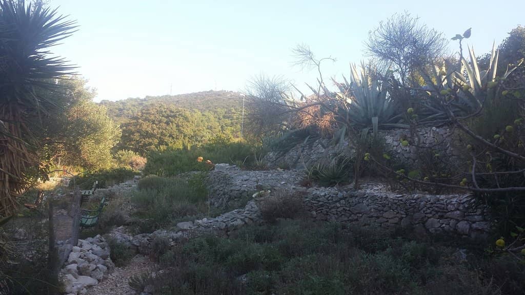 Farm-to-Table Delights