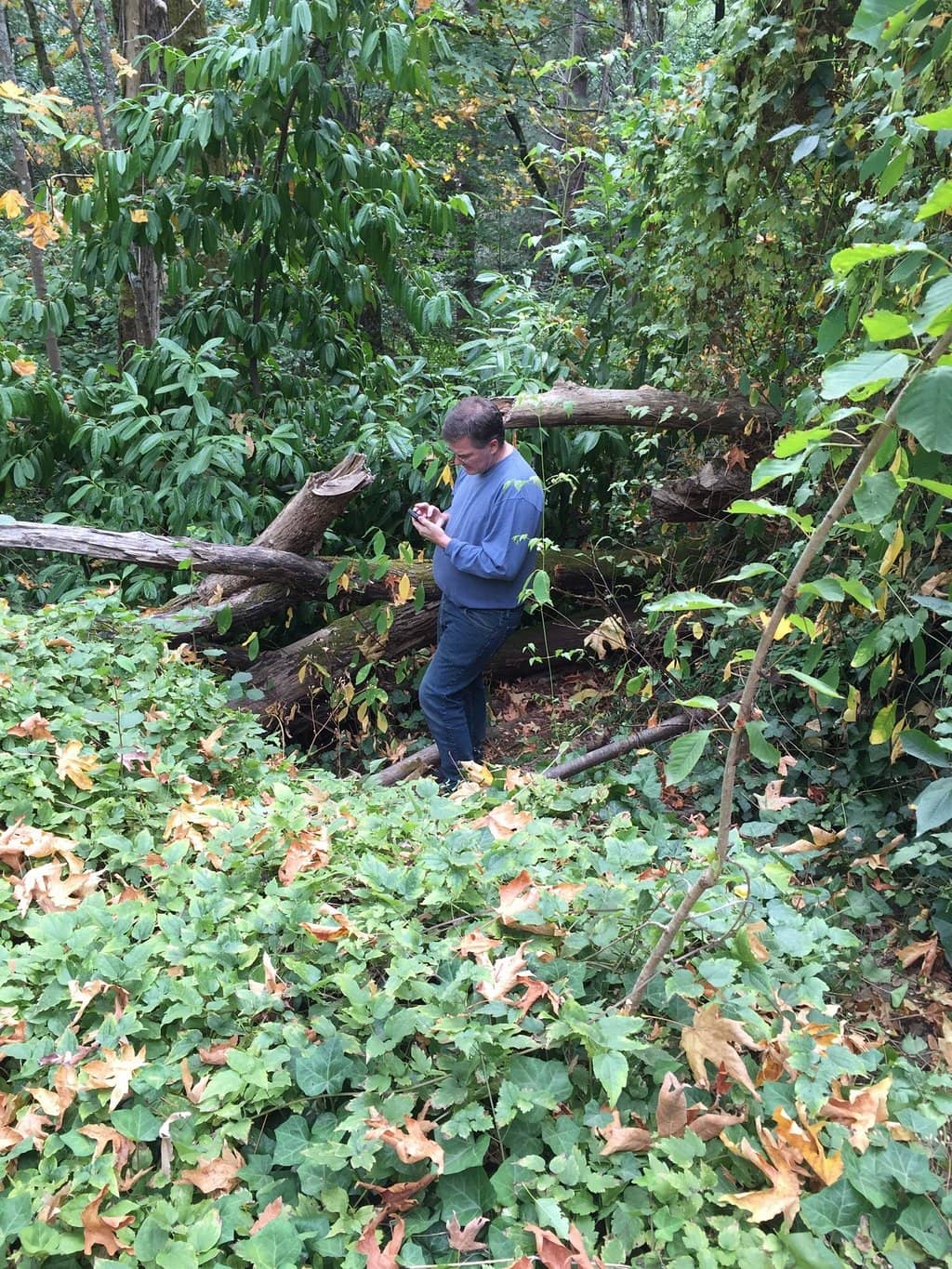 Playground & Picnic Areas