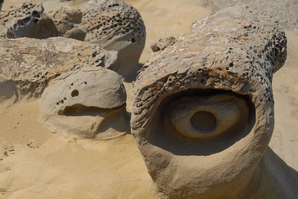 Vibrant Surf Community