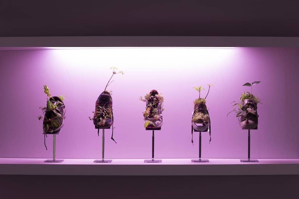 Rotating International Exhibitions