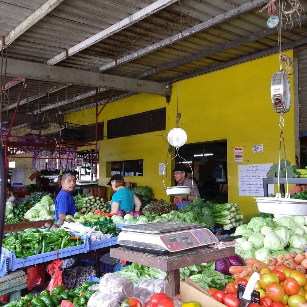 Fresh Produce Galore