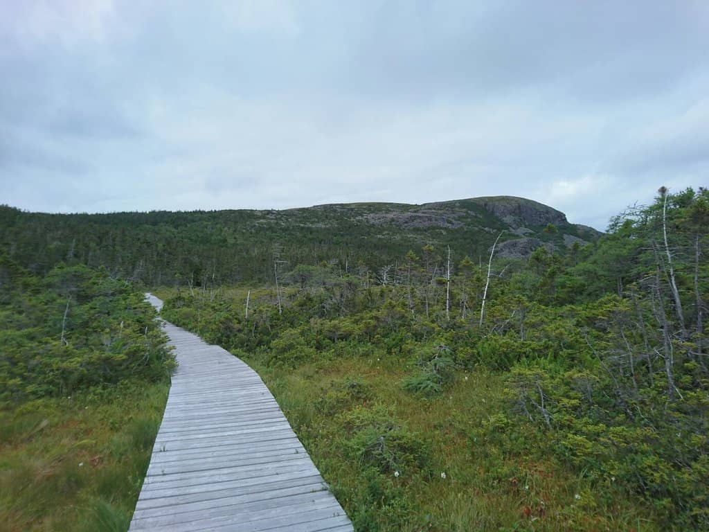 Scenic Ponds and Bogs